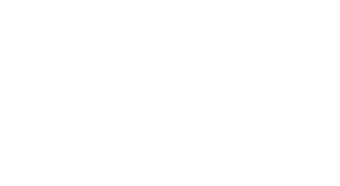 Turno